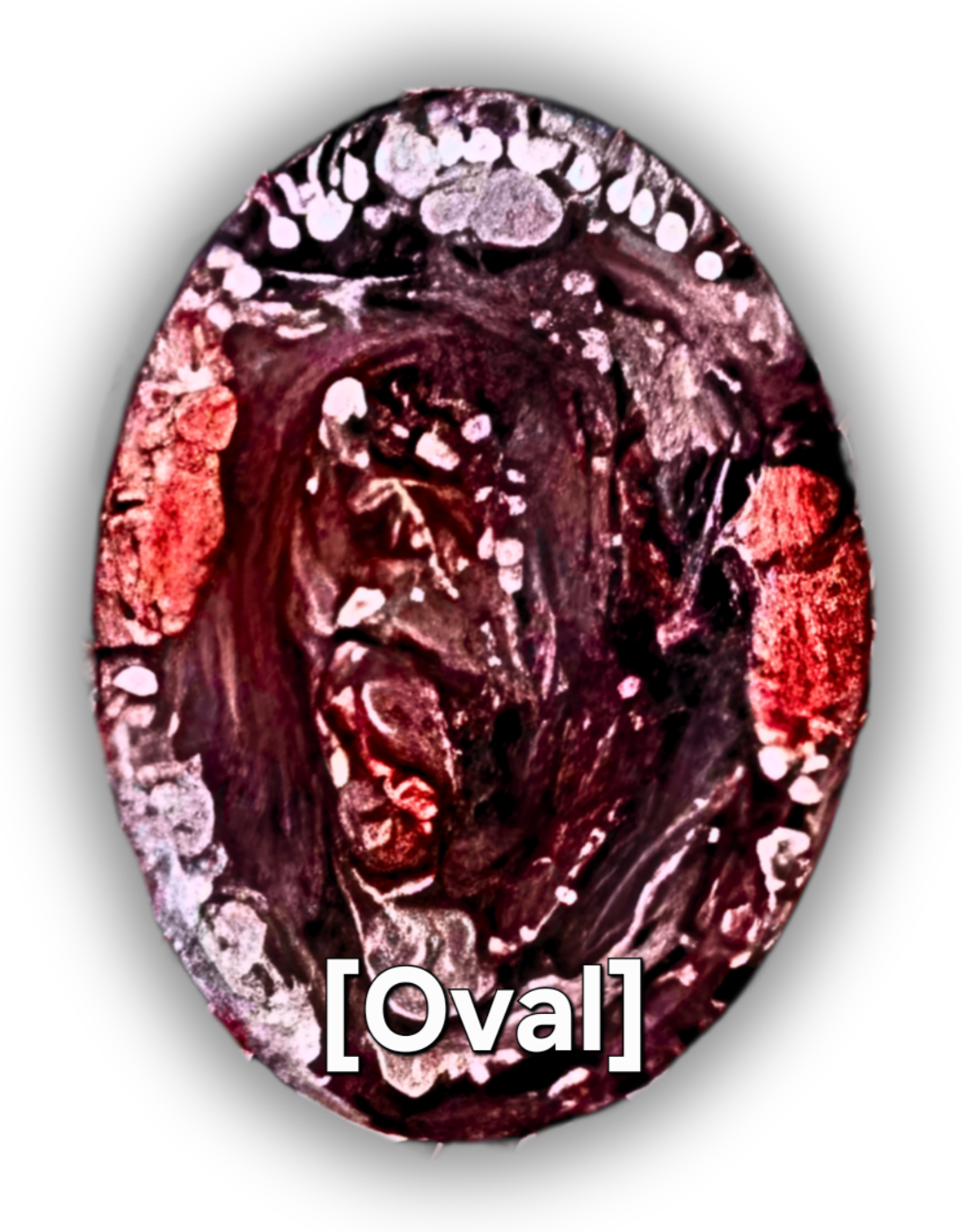BUFFALO PLAID Resin Petri Worry Stone