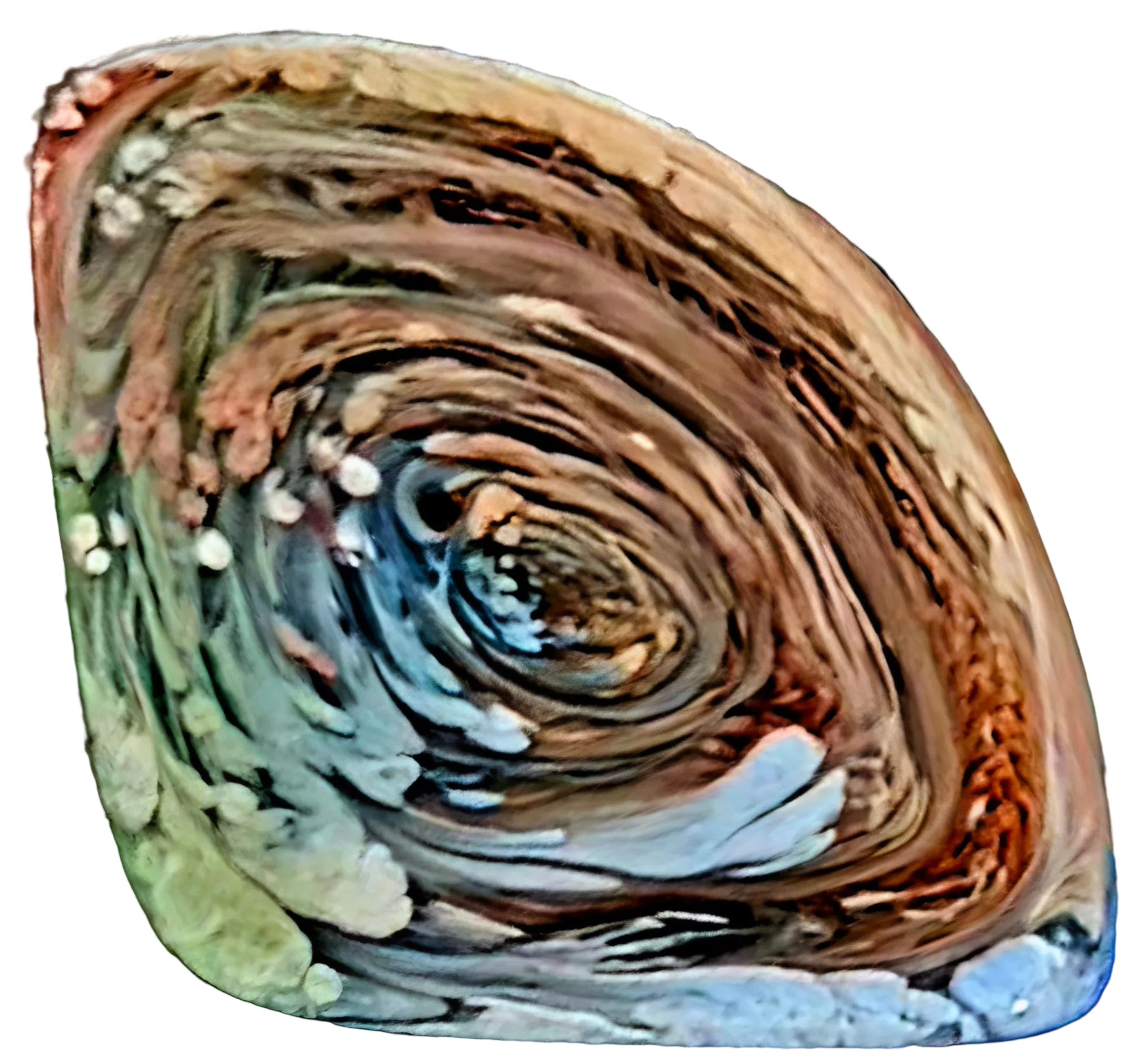 PETRI Resin Worry Stone